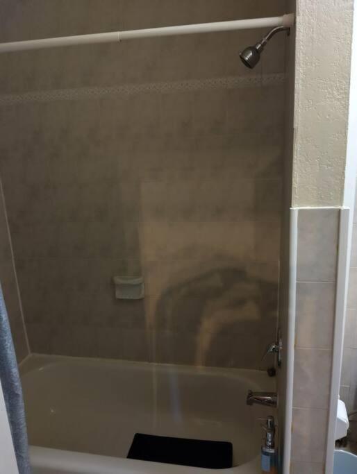 Apartment New Boutique 1br