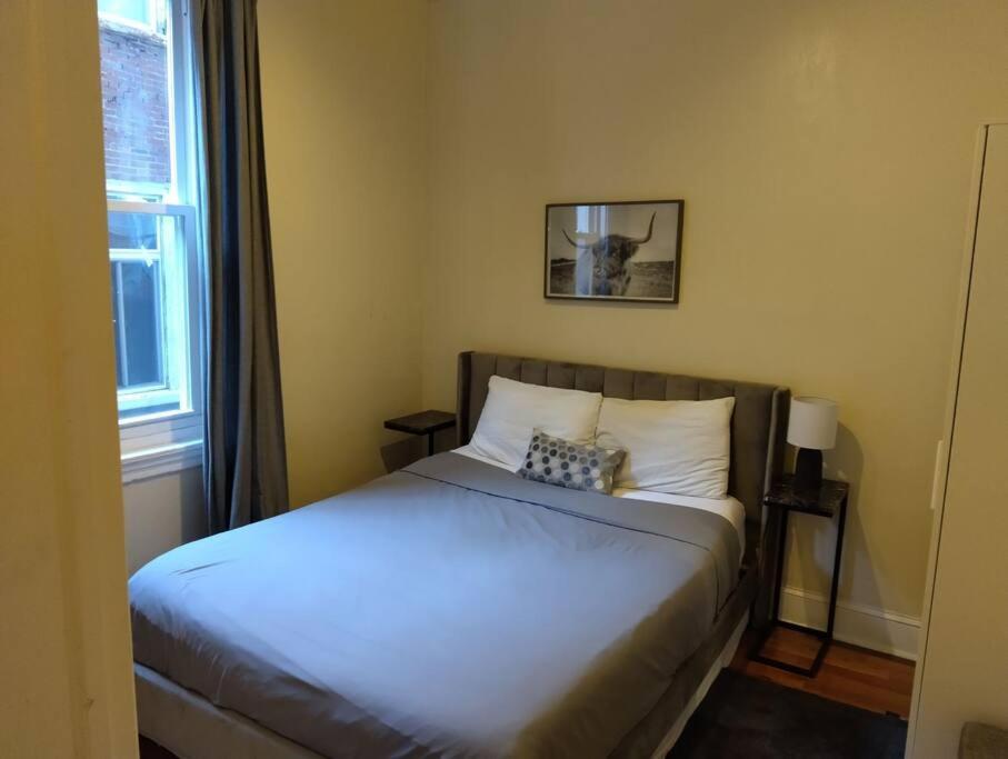 Apartment New Boutique 1br
